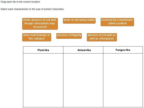 Match Each Characteristic With The Type Of Election It Describes.