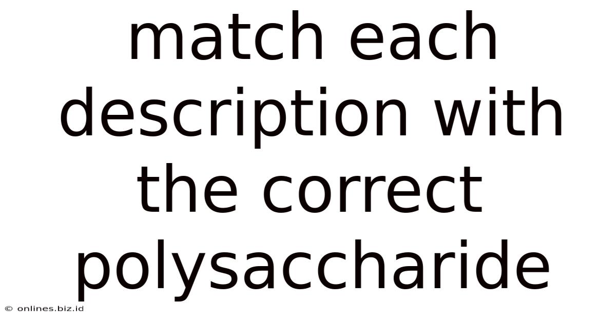 Match Each Description With The Correct Polysaccharide