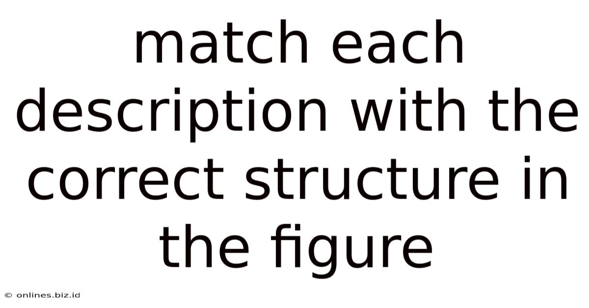 Match Each Description With The Correct Structure In The Figure