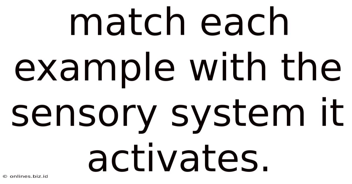 Match Each Example With The Sensory System It Activates.