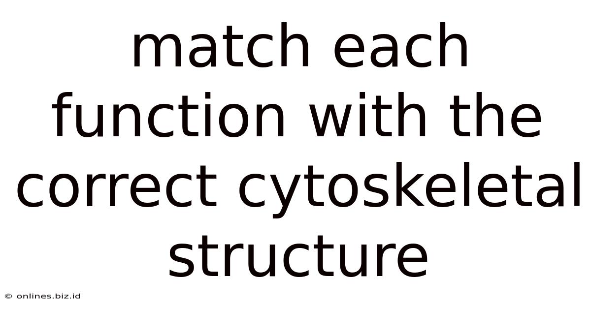 Match Each Function With The Correct Cytoskeletal Structure