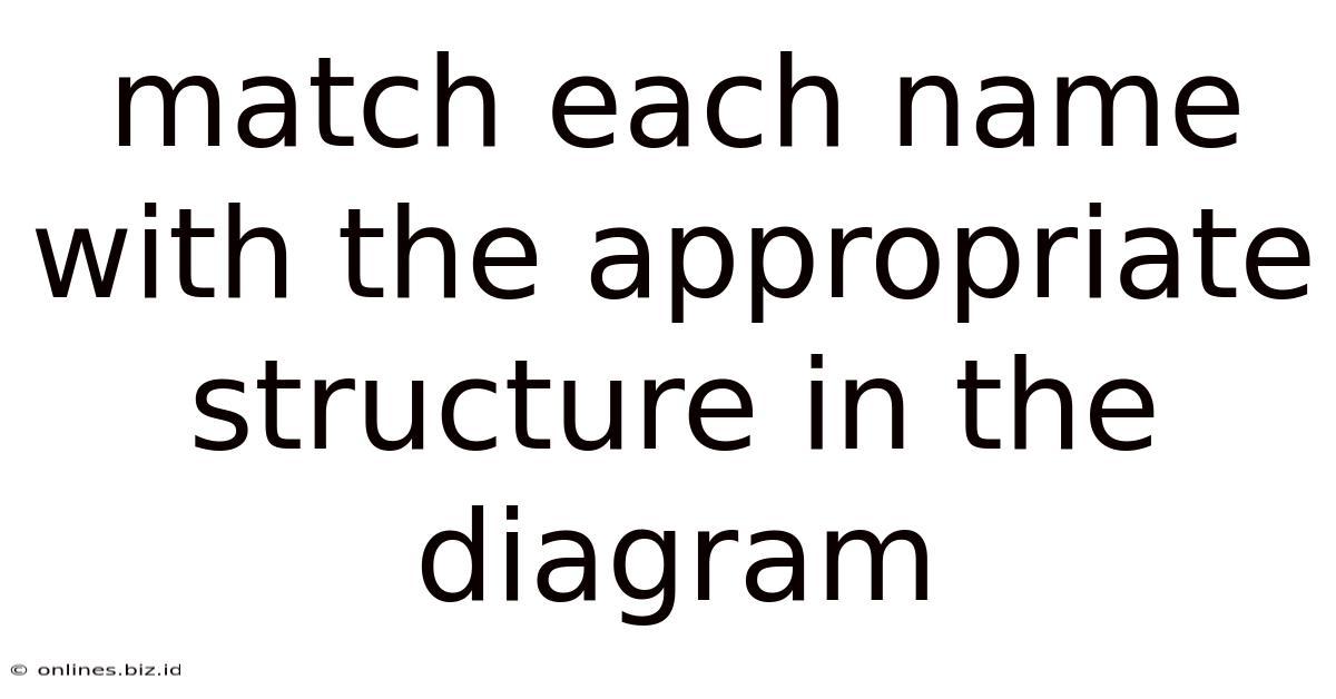 Match Each Name With The Appropriate Structure In The Diagram