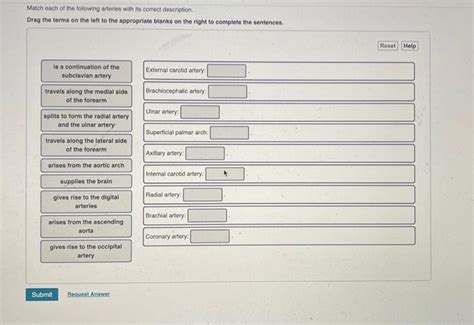 Match Each Of The Following Arteries With Its Correct Description