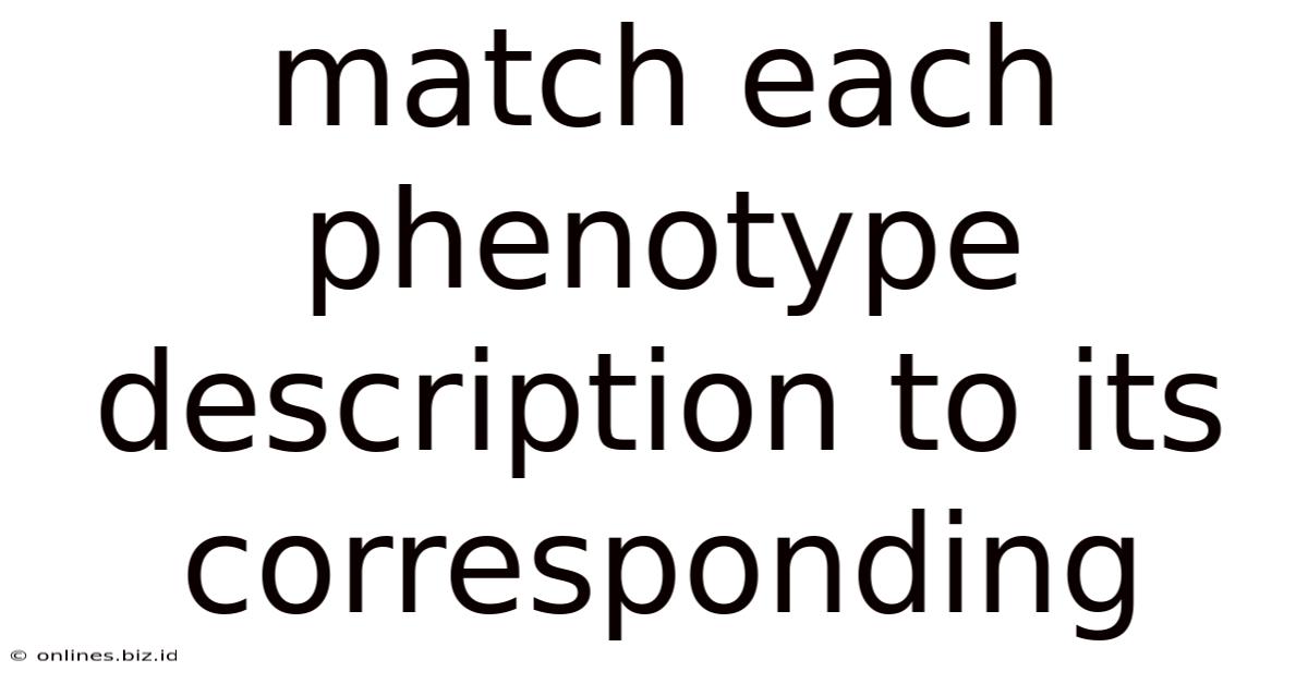 Match Each Phenotype Description To Its Corresponding