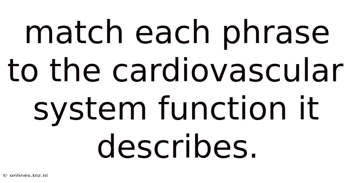 Match Each Phrase To The Cardiovascular System Function It Describes.
