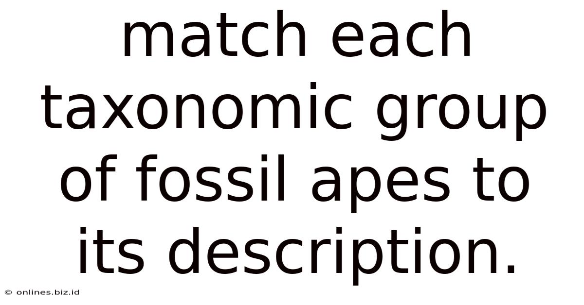 Match Each Taxonomic Group Of Fossil Apes To Its Description.