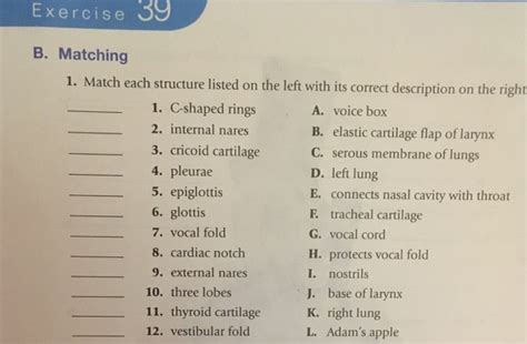 Match Each Term Or Structure Listed With Its Correct Description.