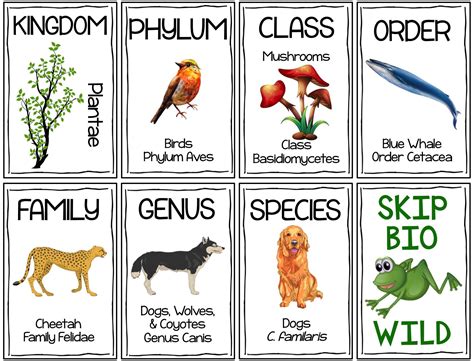 Match The Behaviors To The Appropriate Species.