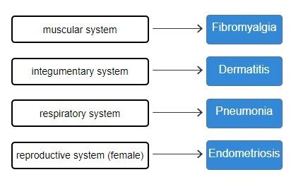 Match The Diseases With The Body Systems They Relate To.