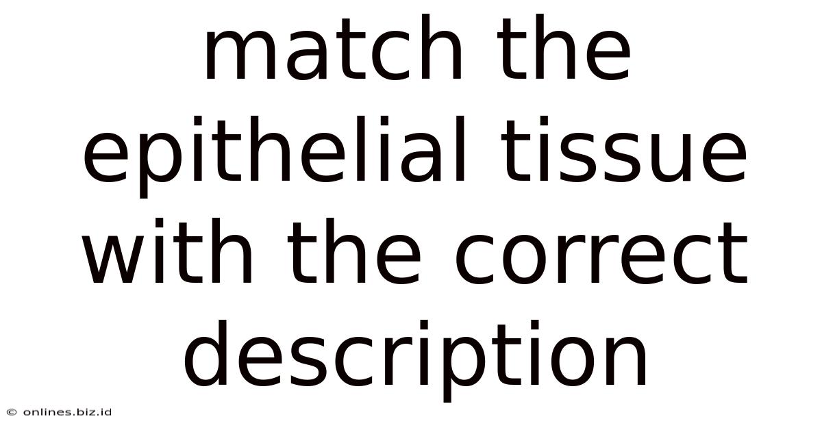 Match The Epithelial Tissue With The Correct Description