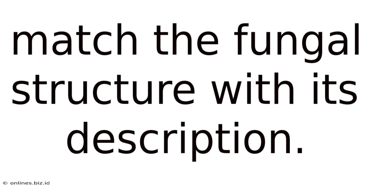 Match The Fungal Structure With Its Description.
