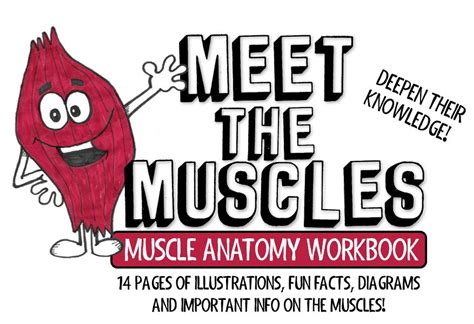 Meet The Muscles Muscle Anatomy Workbook