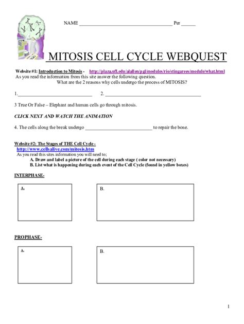 Mitosis And The Cell Cycle Webquest Answer Key