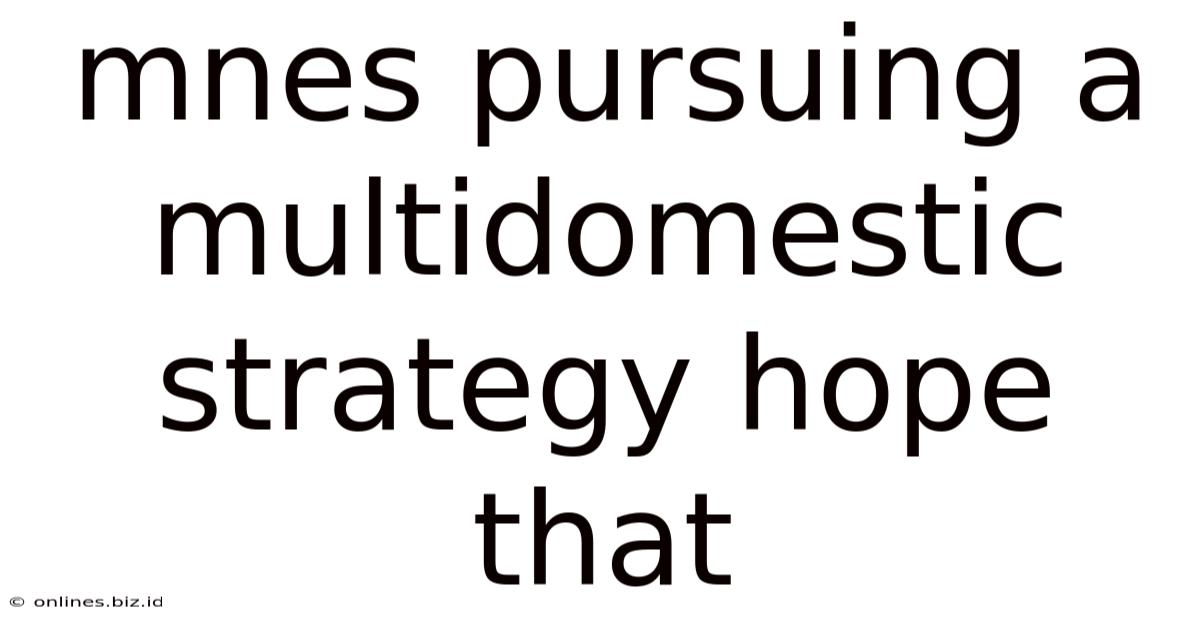 Mnes Pursuing A Multidomestic Strategy Hope That