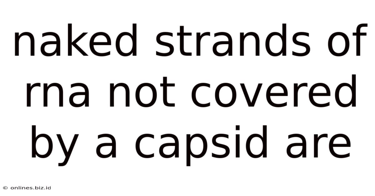 Naked Strands Of Rna Not Covered By A Capsid Are