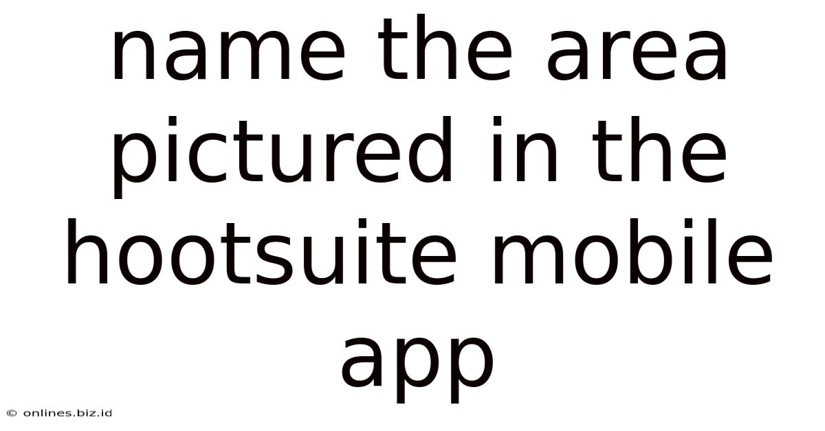 Name The Area Pictured In The Hootsuite Mobile App