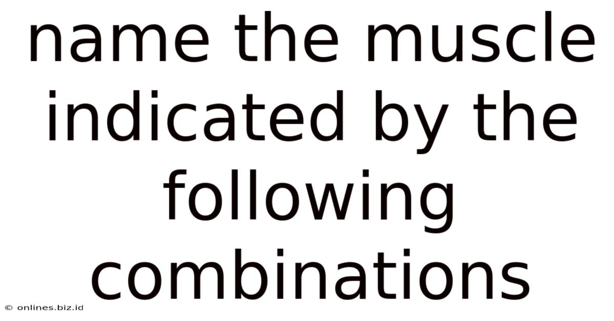 Name The Muscle Indicated By The Following Combinations