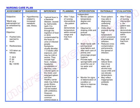 Nanda Nursing Diagnosis Pdf Free Download