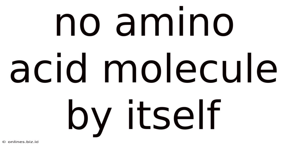 No Amino Acid Molecule By Itself