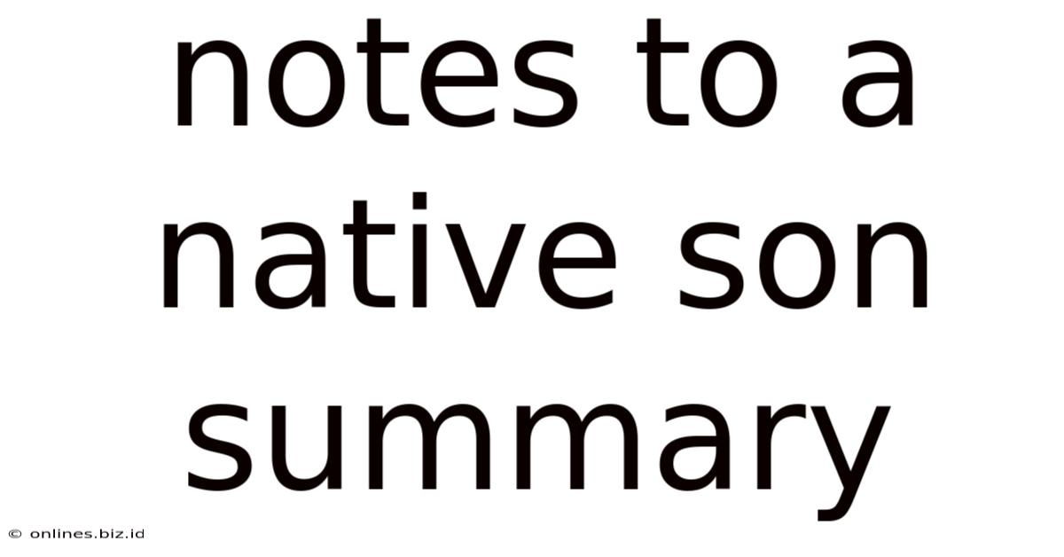 Notes To A Native Son Summary