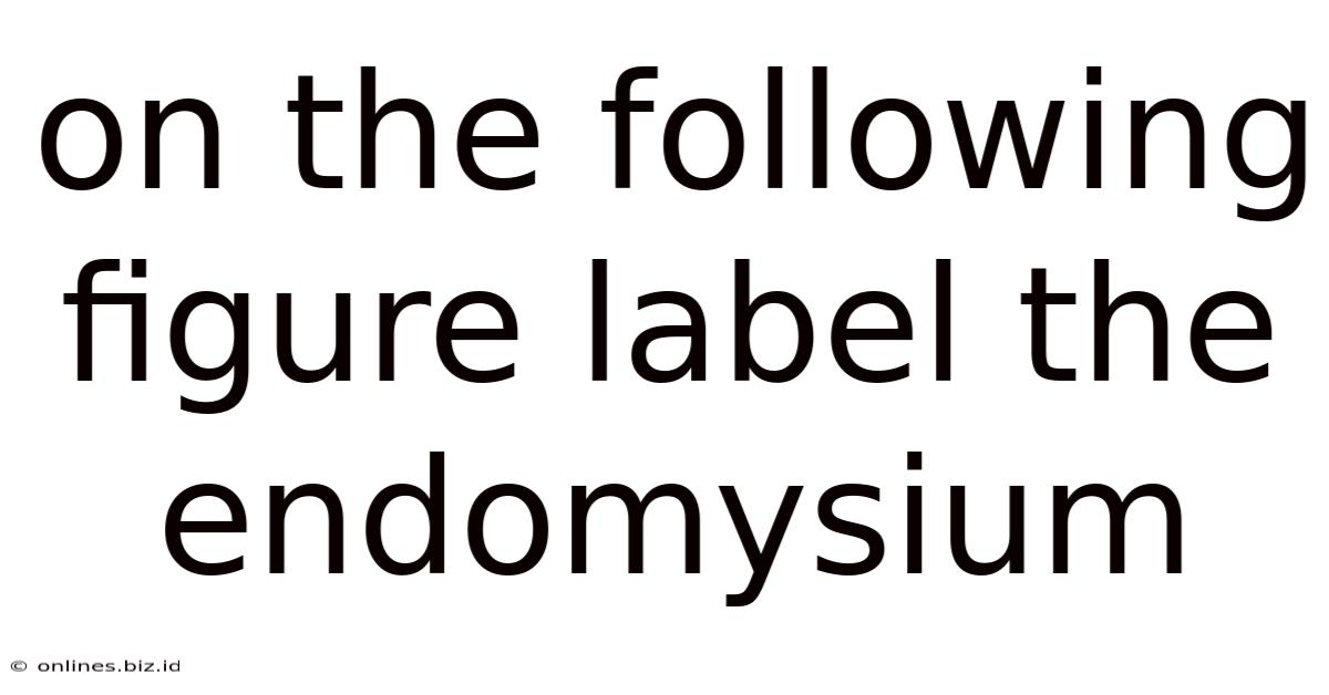 On The Following Figure Label The Endomysium