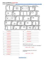 Onion Cell Mitosis Answer Key Pdf