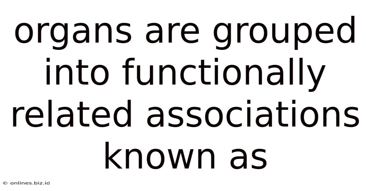 Organs Are Grouped Into Functionally Related Associations Known As