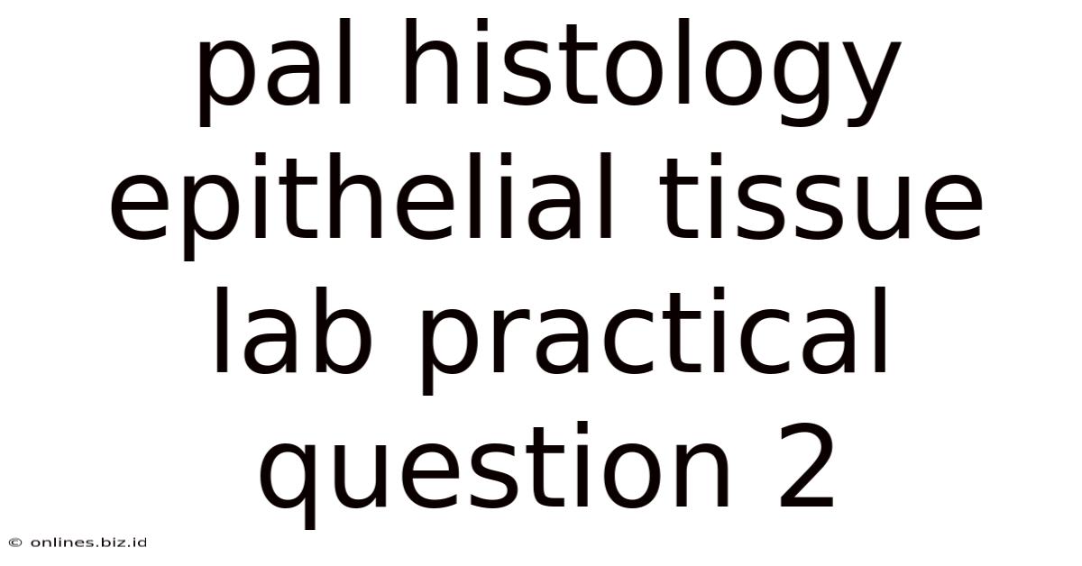 Pal Histology Epithelial Tissue Lab Practical Question 2
