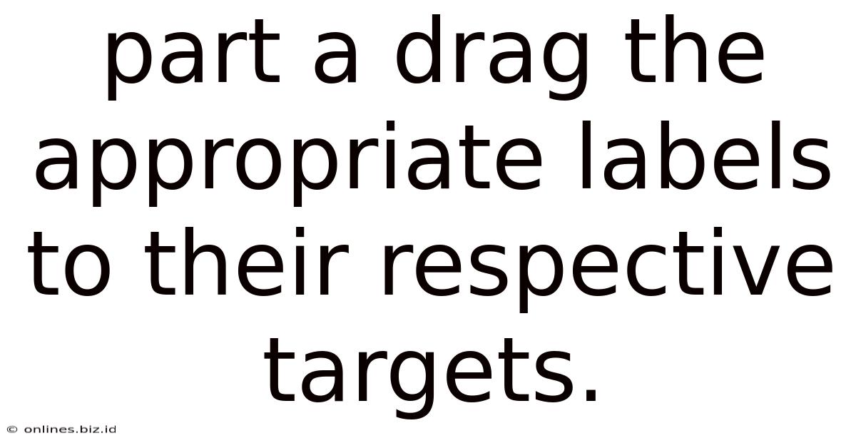 Part A Drag The Appropriate Labels To Their Respective Targets.