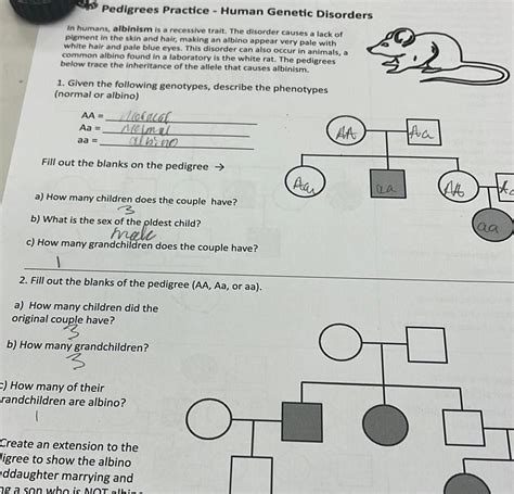 Pedigrees Practice Human Genetic Disorders Answer Key