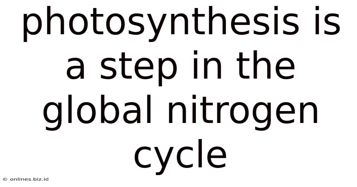Photosynthesis Is A Step In The Global Nitrogen Cycle