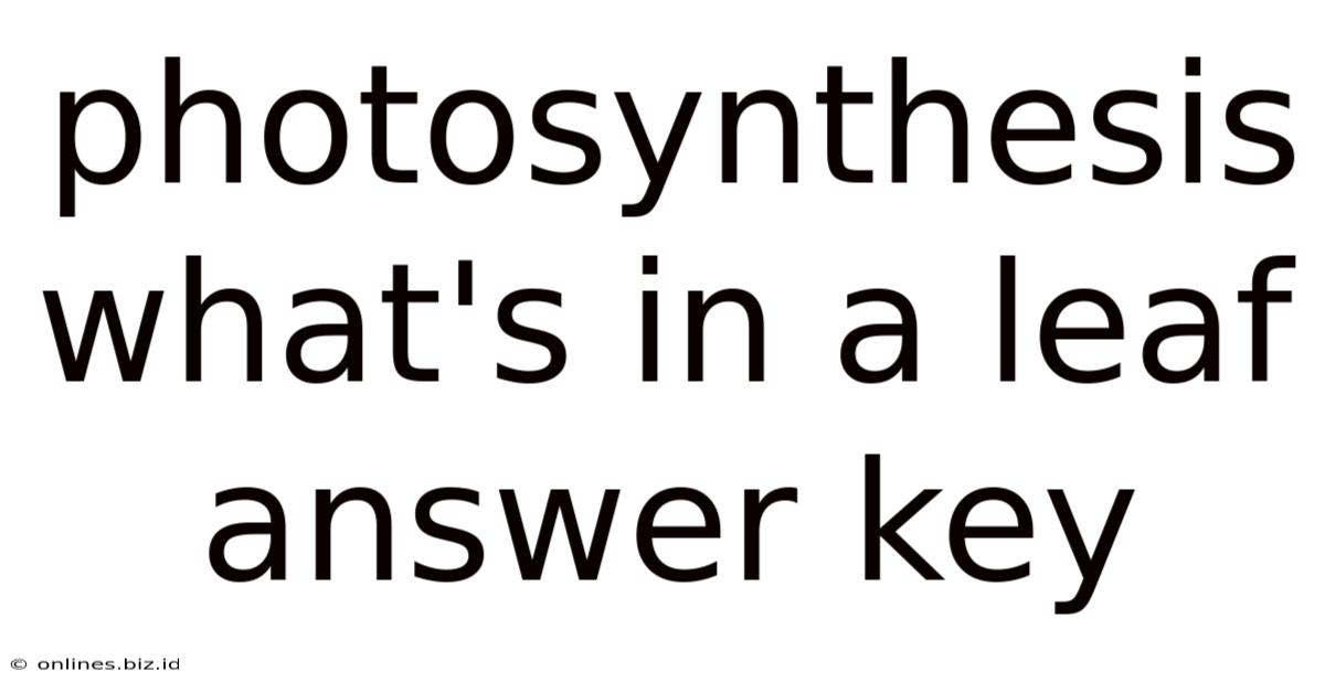 Photosynthesis What's In A Leaf Answer Key