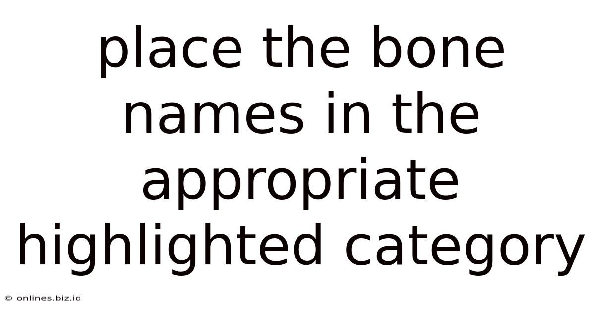 Place The Bone Names In The Appropriate Highlighted Category