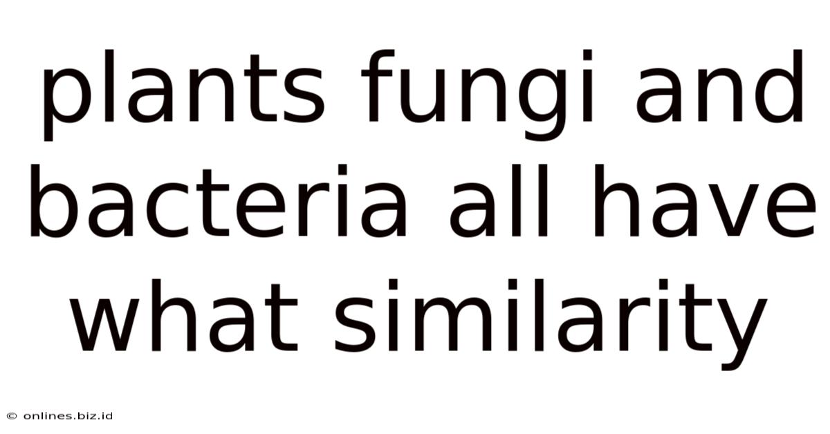 Plants Fungi And Bacteria All Have What Similarity