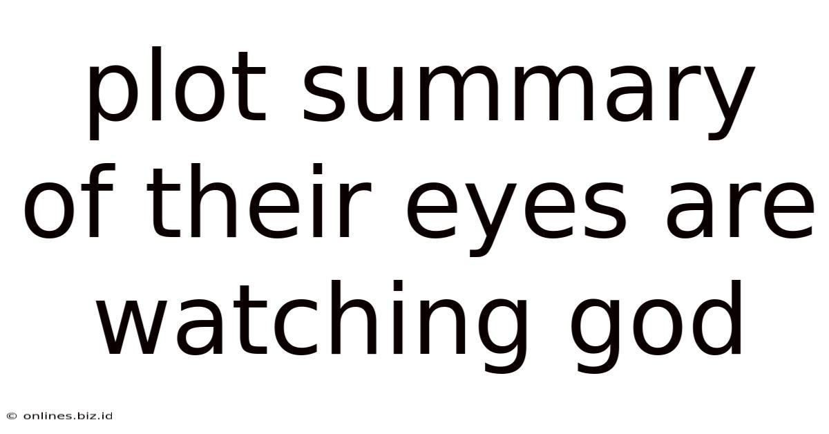 Plot Summary Of Their Eyes Are Watching God