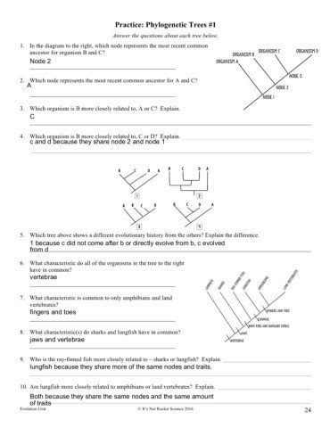 Practice Phylogenetic Trees 1 Answer Key