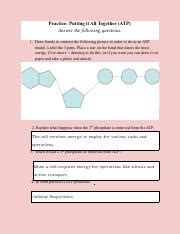 Practice Putting It All Together Answer Key