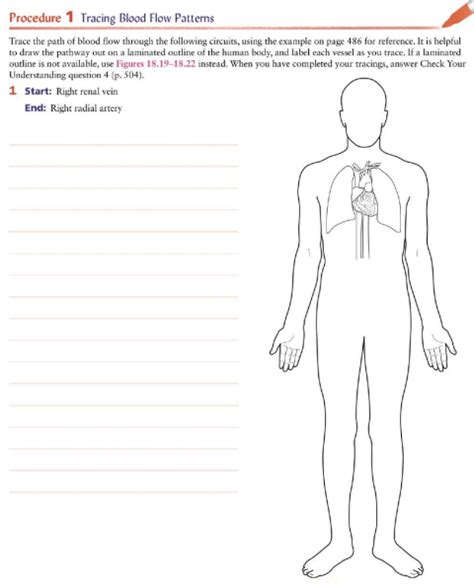 Procedure 1 Tracing Blood Flow Patterns