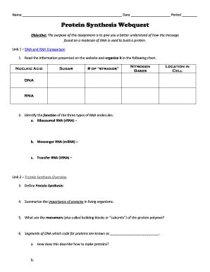 Protein Synthesis Webquest Answer Key Pdf