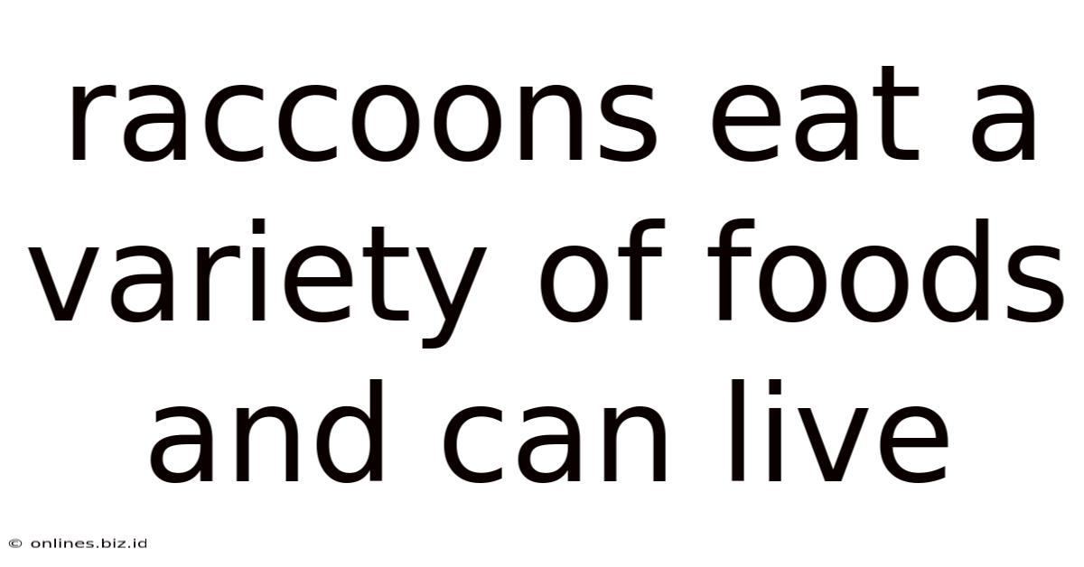 Raccoons Eat A Variety Of Foods And Can Live
