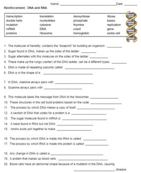 Reinforcement Dna And Rna Answer Key