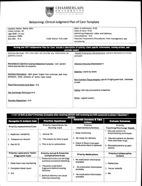 Relearning Clinical Judgment Plan Of Care Template