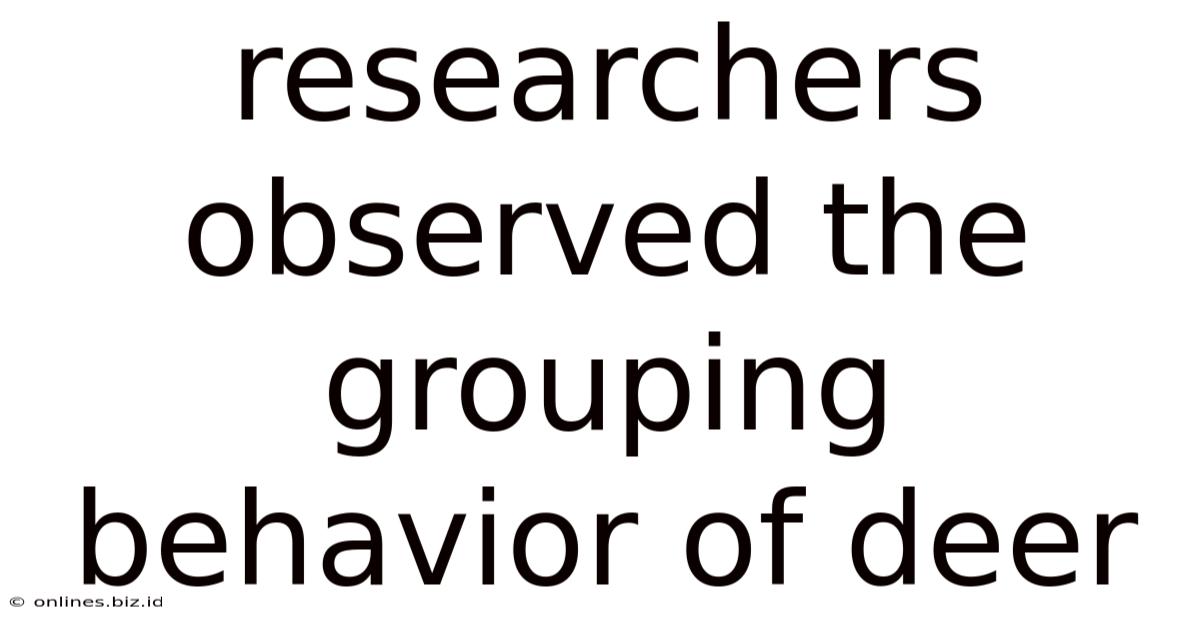 Researchers Observed The Grouping Behavior Of Deer
