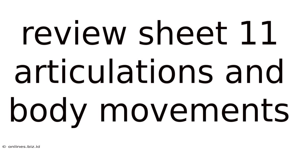 Review Sheet 11 Articulations And Body Movements