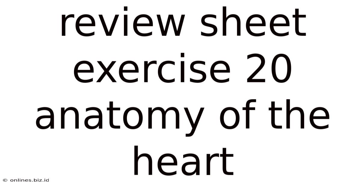 Review Sheet Exercise 20 Anatomy Of The Heart