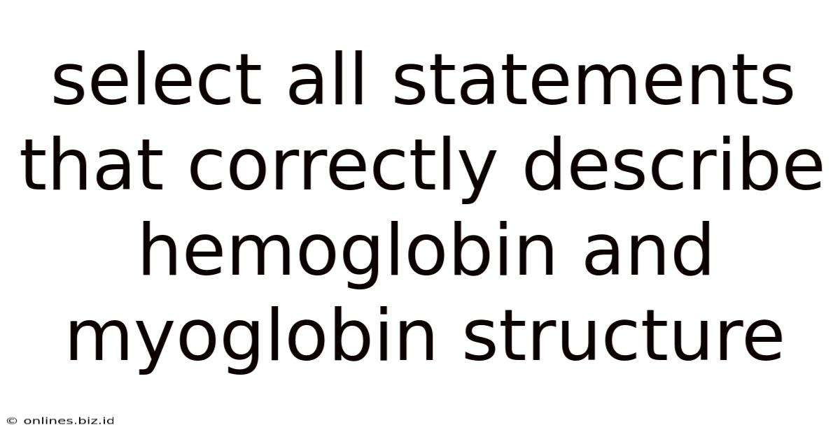 Select All Statements That Correctly Describe Hemoglobin And Myoglobin Structure
