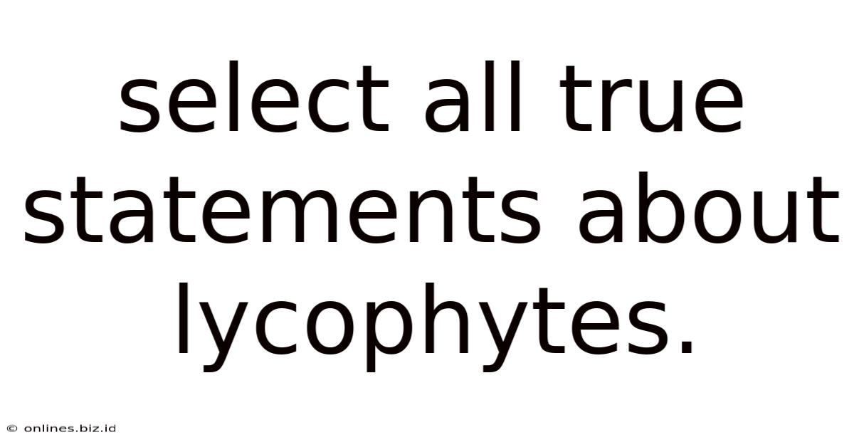 Select All True Statements About Lycophytes.