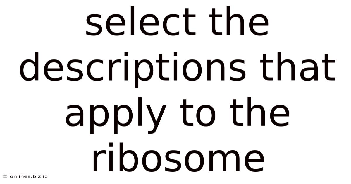 Select The Descriptions That Apply To The Ribosome