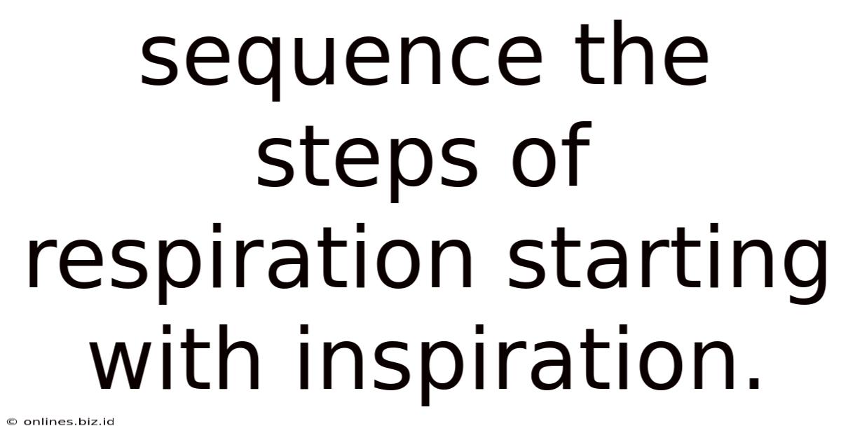 Sequence The Steps Of Respiration Starting With Inspiration.