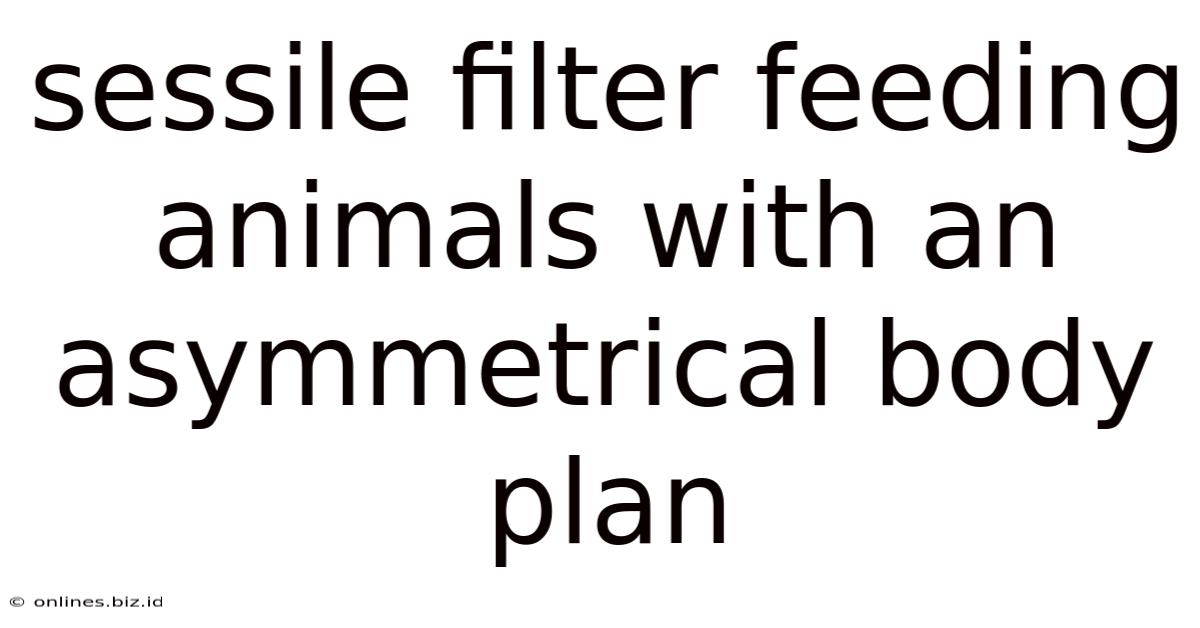 Sessile Filter Feeding Animals With An Asymmetrical Body Plan